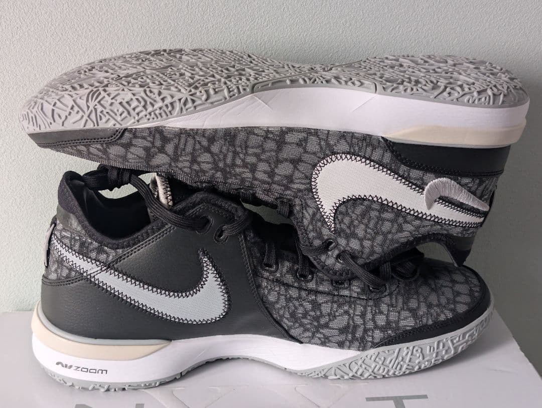 シューズ(男性用) Nike Lebron NXXT GEN 30cm