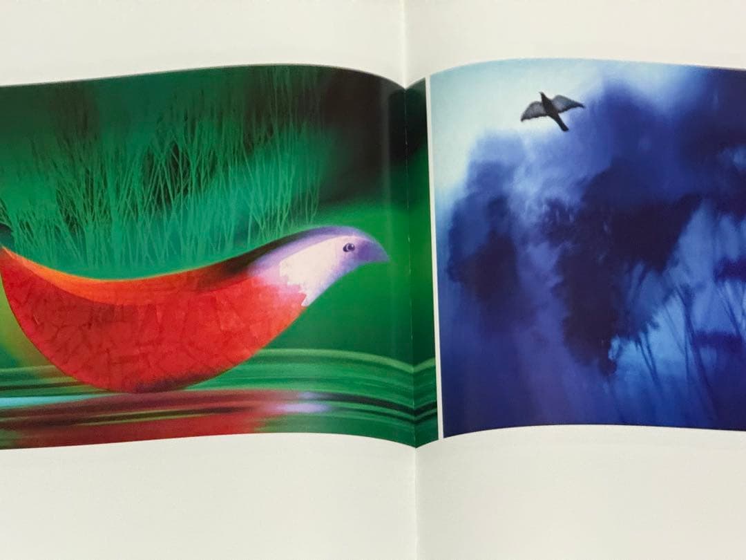 写真集 サムハスキンス SAM HASKINS「FASHION ETCETERA