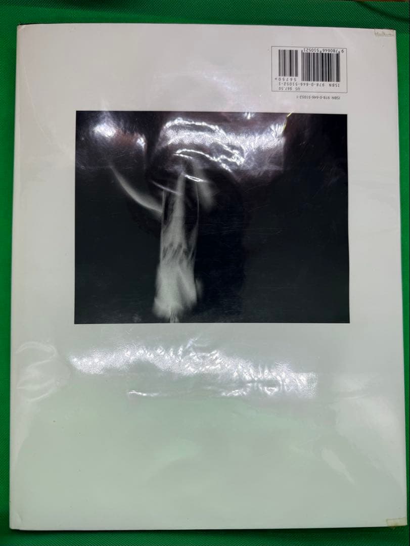 写真集 サムハスキンス SAM HASKINS「FASHION ETCETERA