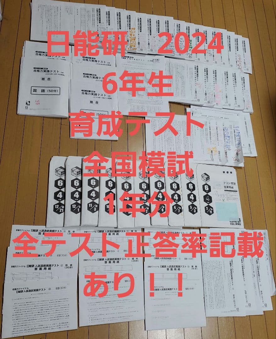 2024年　日能研　6年生　テスト　1年分　全国模試　育成テスト