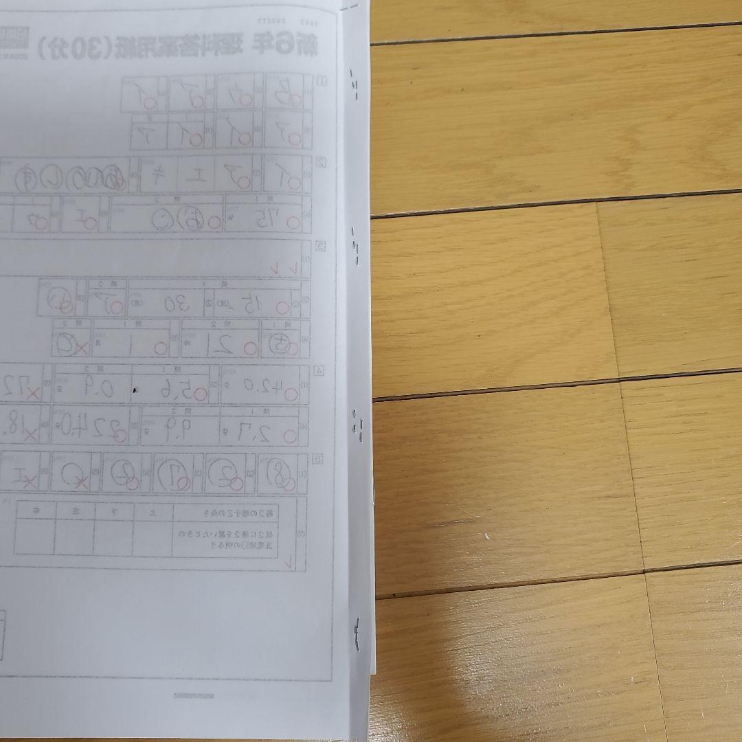 2024年　日能研　6年生　テスト　1年分　全国模試　育成テスト