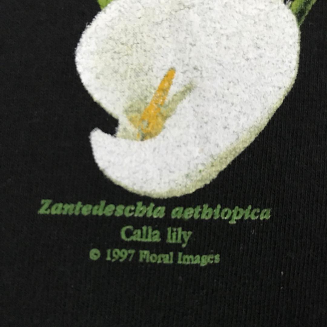 激レア カラーリリー 花 1997年製ヴィンテージ ロンT