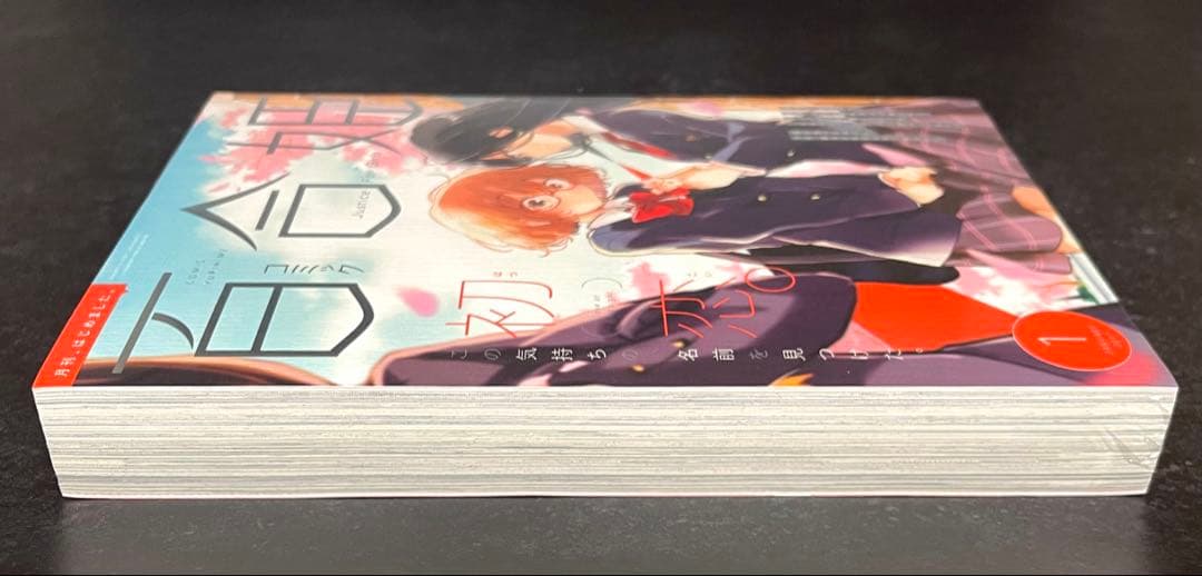 ●百合姫 2017年 1月号 ●新連載 私に天使が舞い降りた! 椋木ななつ