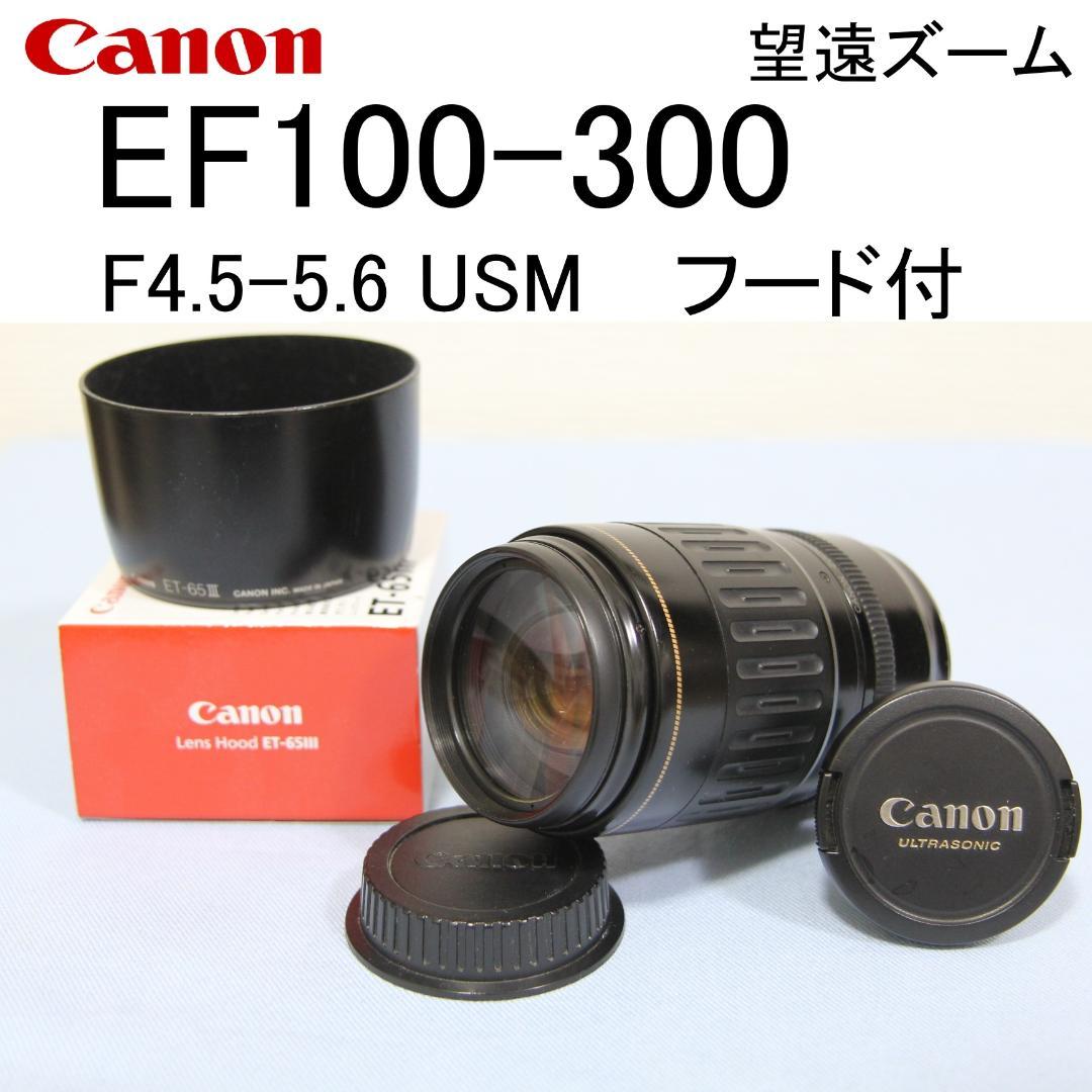 EF100-300mm F4.5-5.6 USM 望遠 CANON 純正フード付