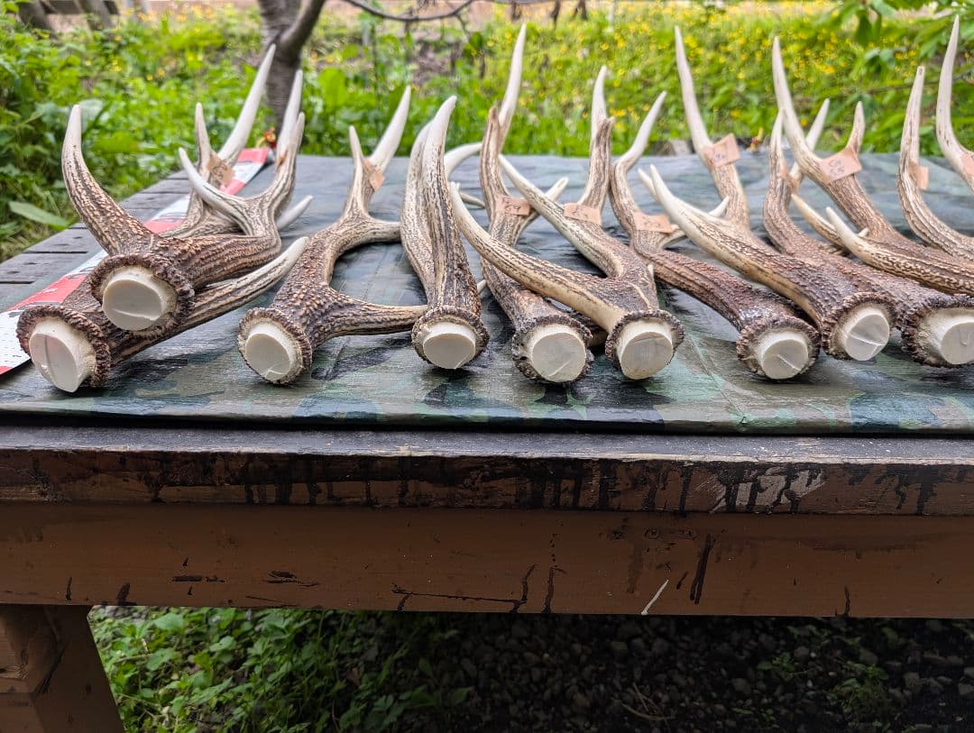 蝦夷鹿の角(狩り角)と落ち角「41本～42本セット」約23kg