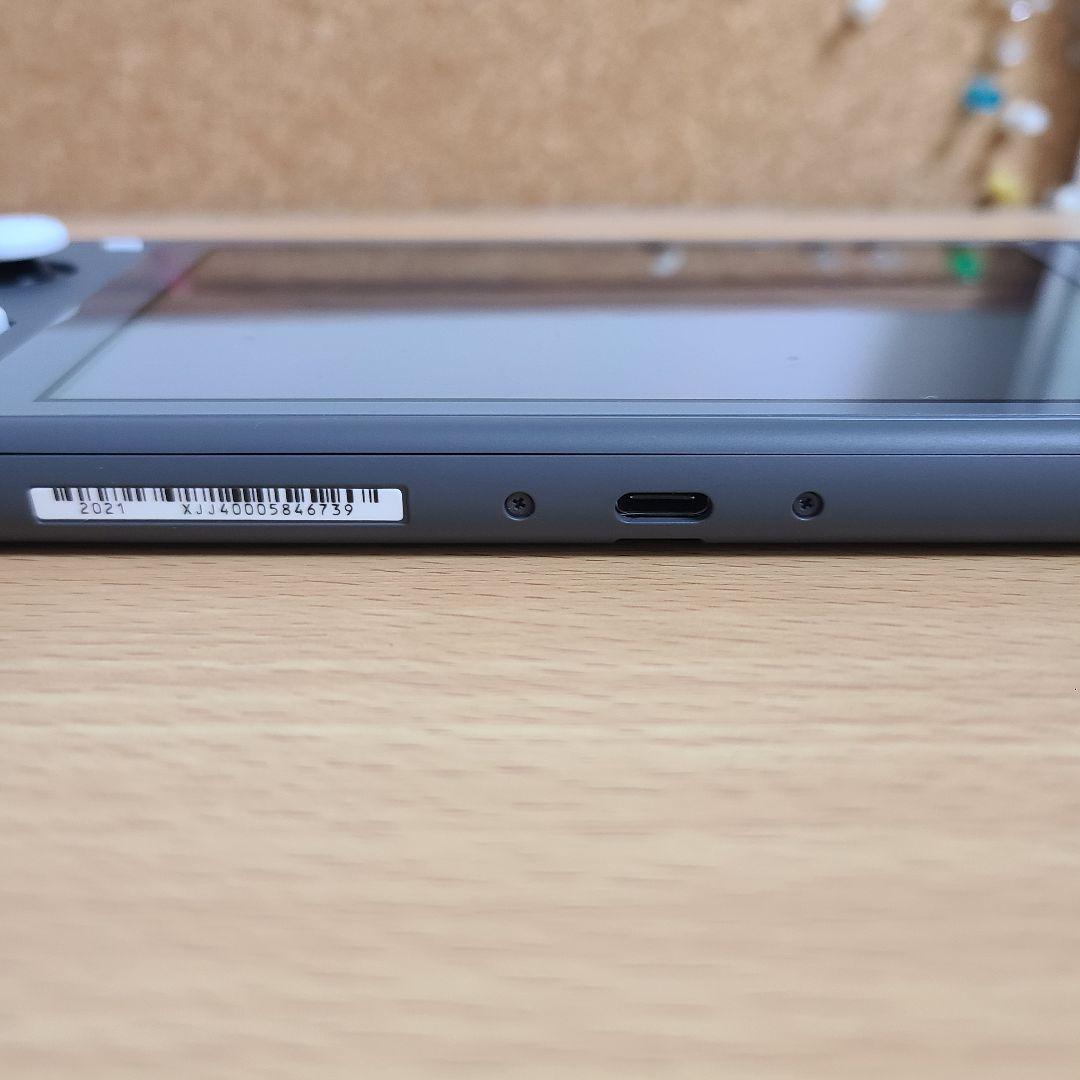 Nintendo Switch Lite グレー グリップ ケース付き