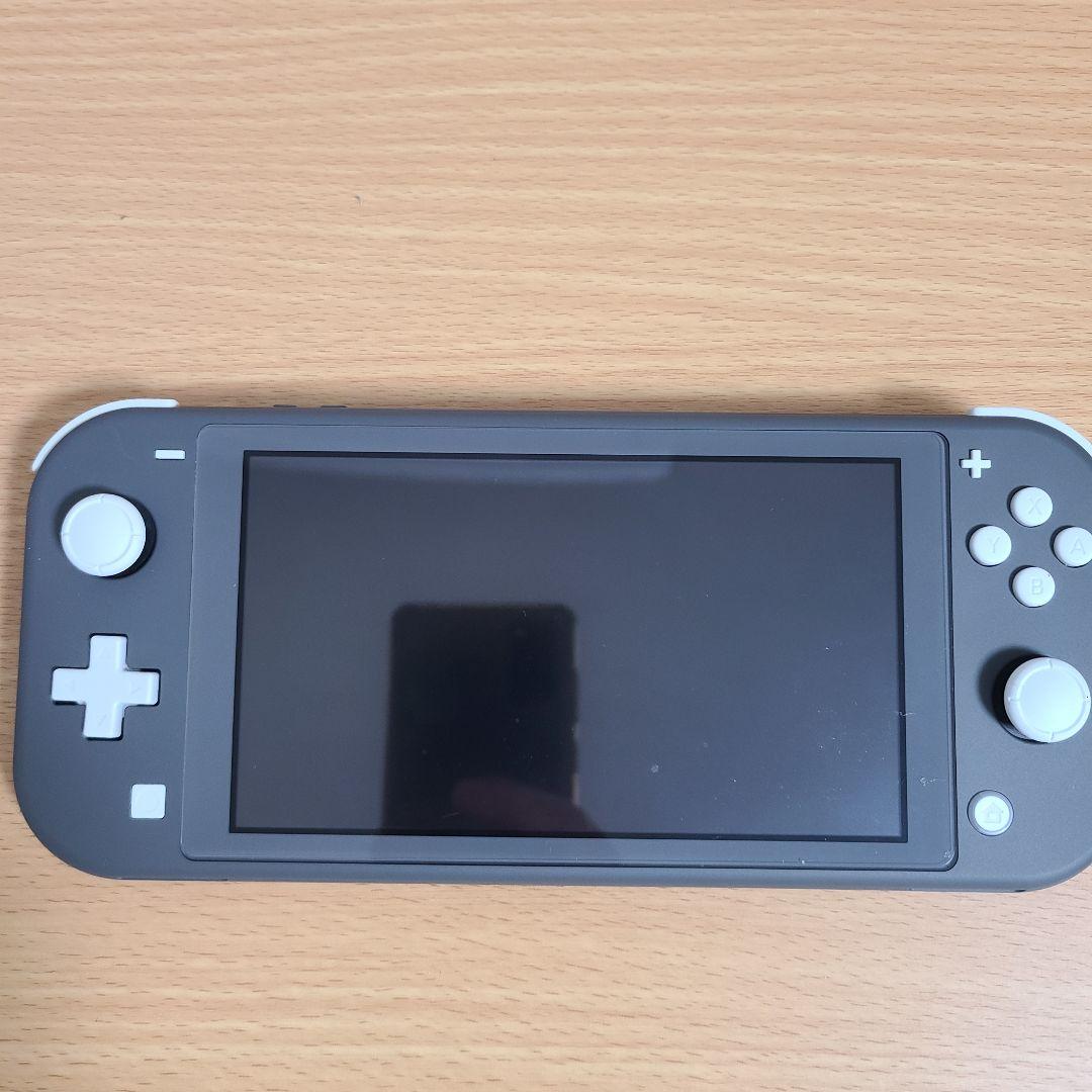 Nintendo Switch Lite グレー グリップ ケース付き