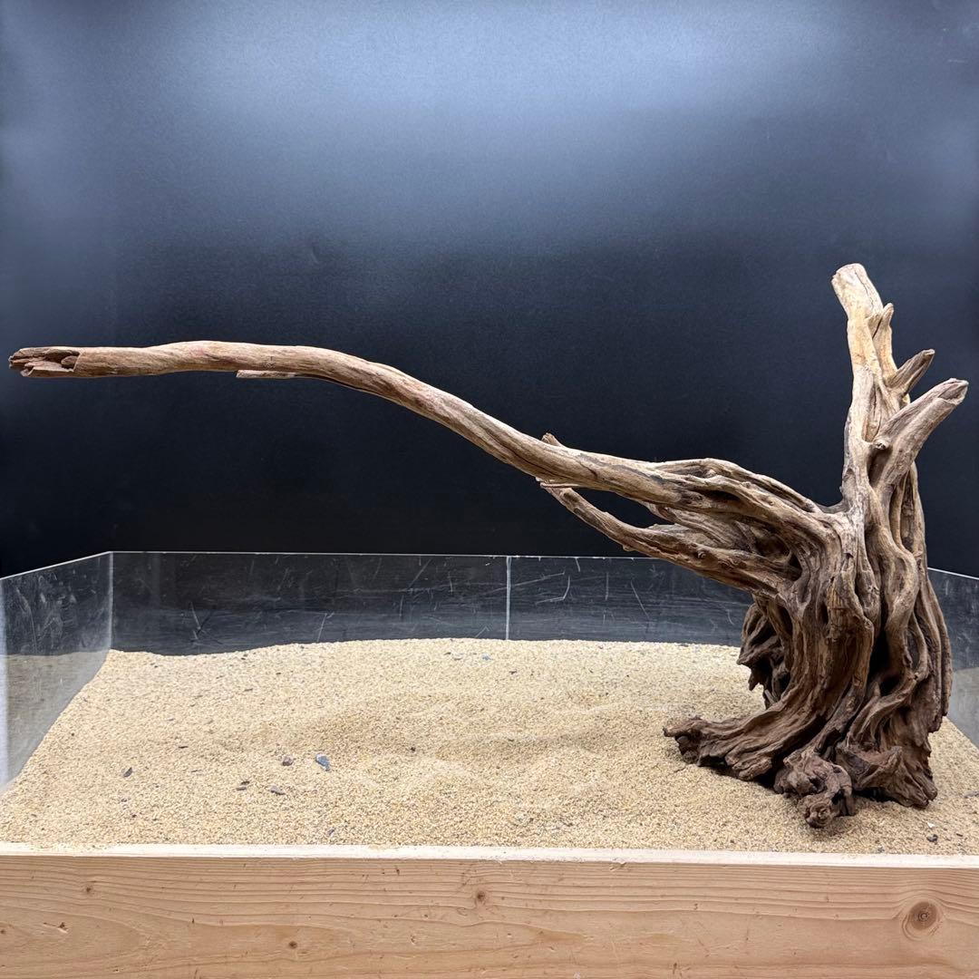 MSRW-6958 特大天然流木1点物　スリムウッド　アクアリウム