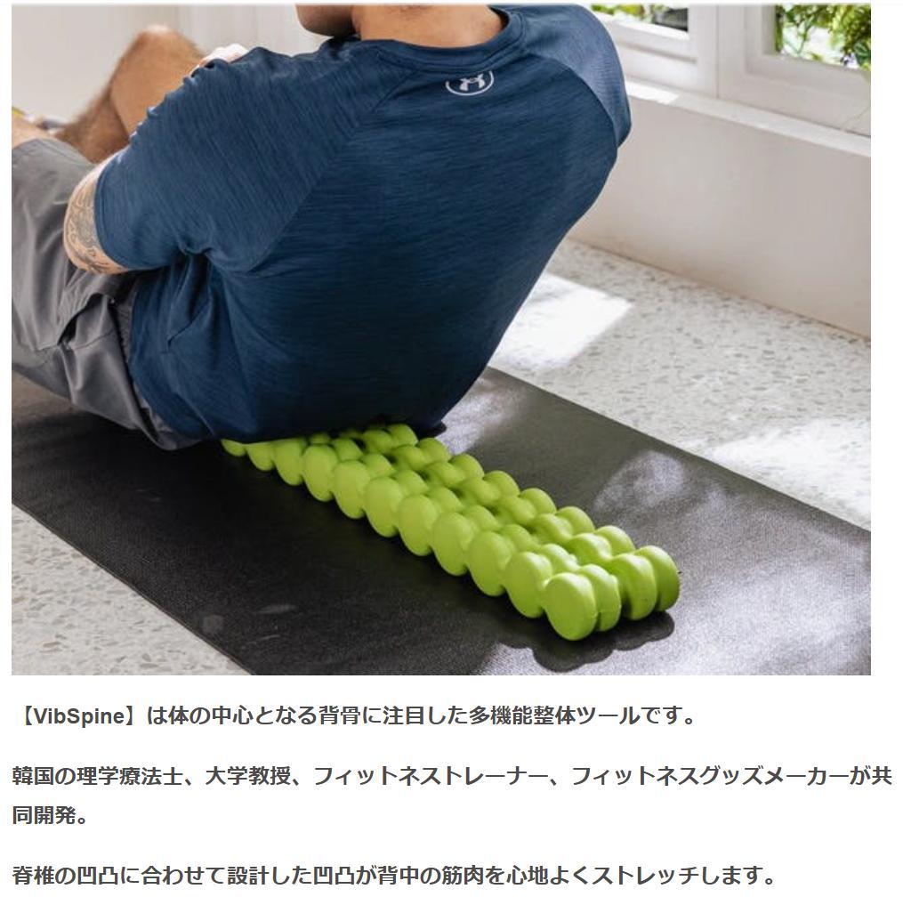 【12/16迄★半額】未開封 Vib Spine エクササイズマット ブラック