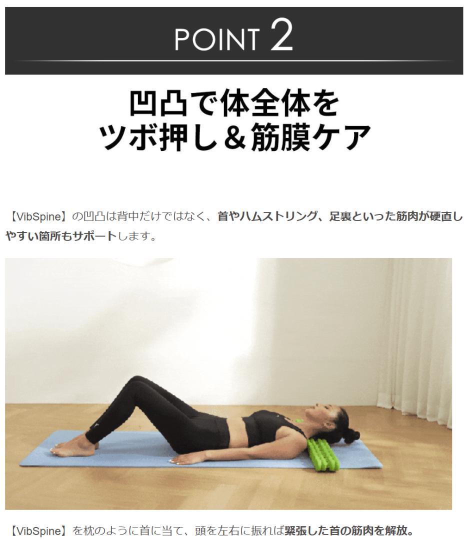 【12/16迄★半額】未開封 Vib Spine エクササイズマット ブラック