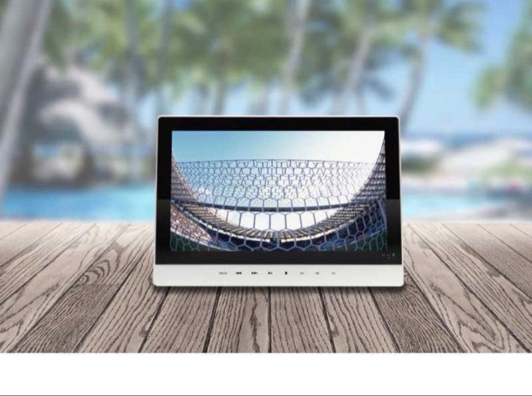 TEES 防水11.1型ポータブルDVDプレーヤー PD-M111-WH