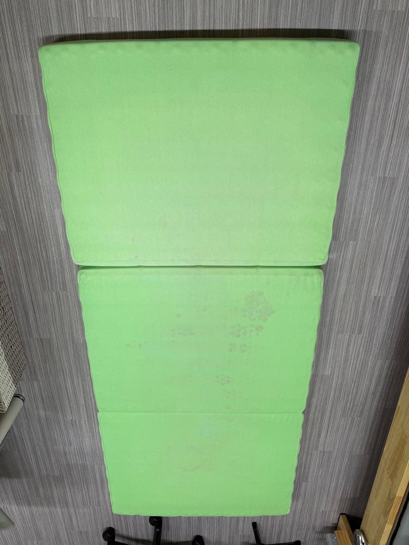 ヘルスウェーブゴールド ジュニア