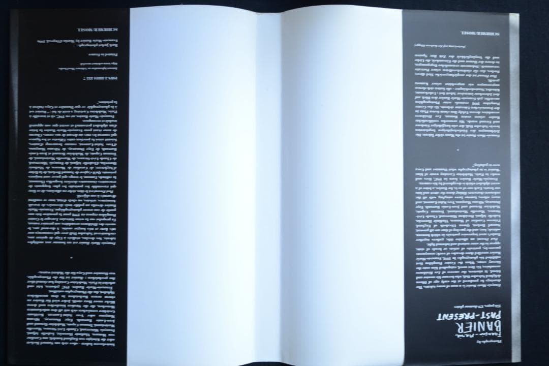 【PAST PRESENT：Francois-Marie Banier 】