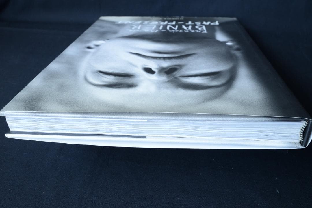 【PAST PRESENT：Francois-Marie Banier 】