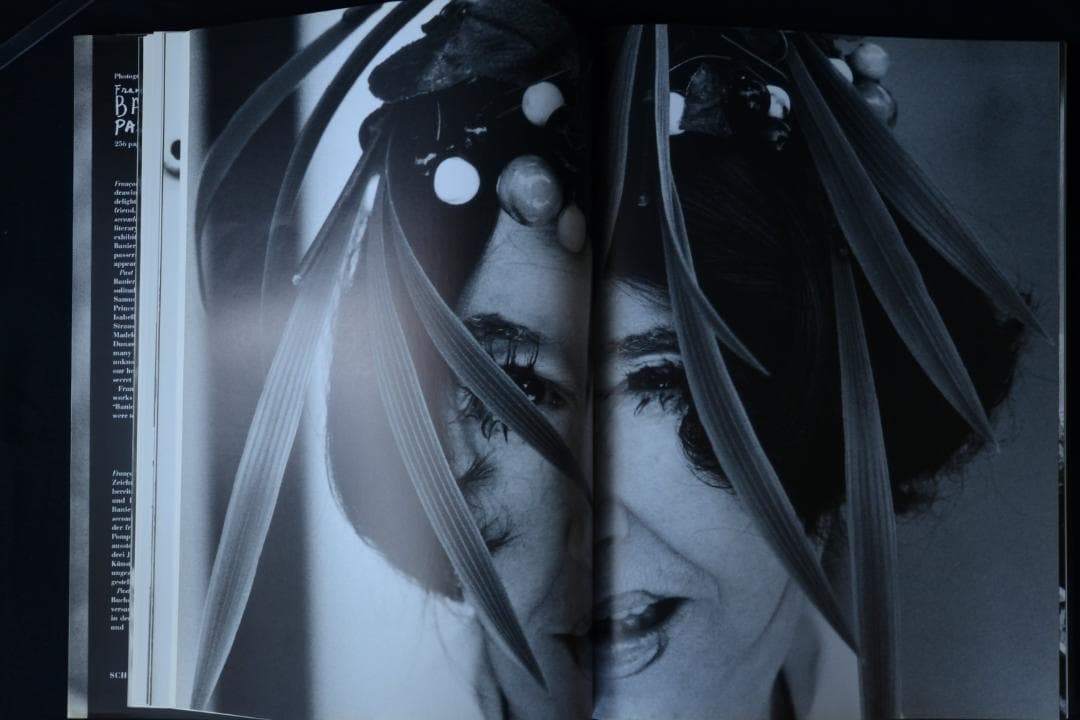 【PAST PRESENT：Francois-Marie Banier 】