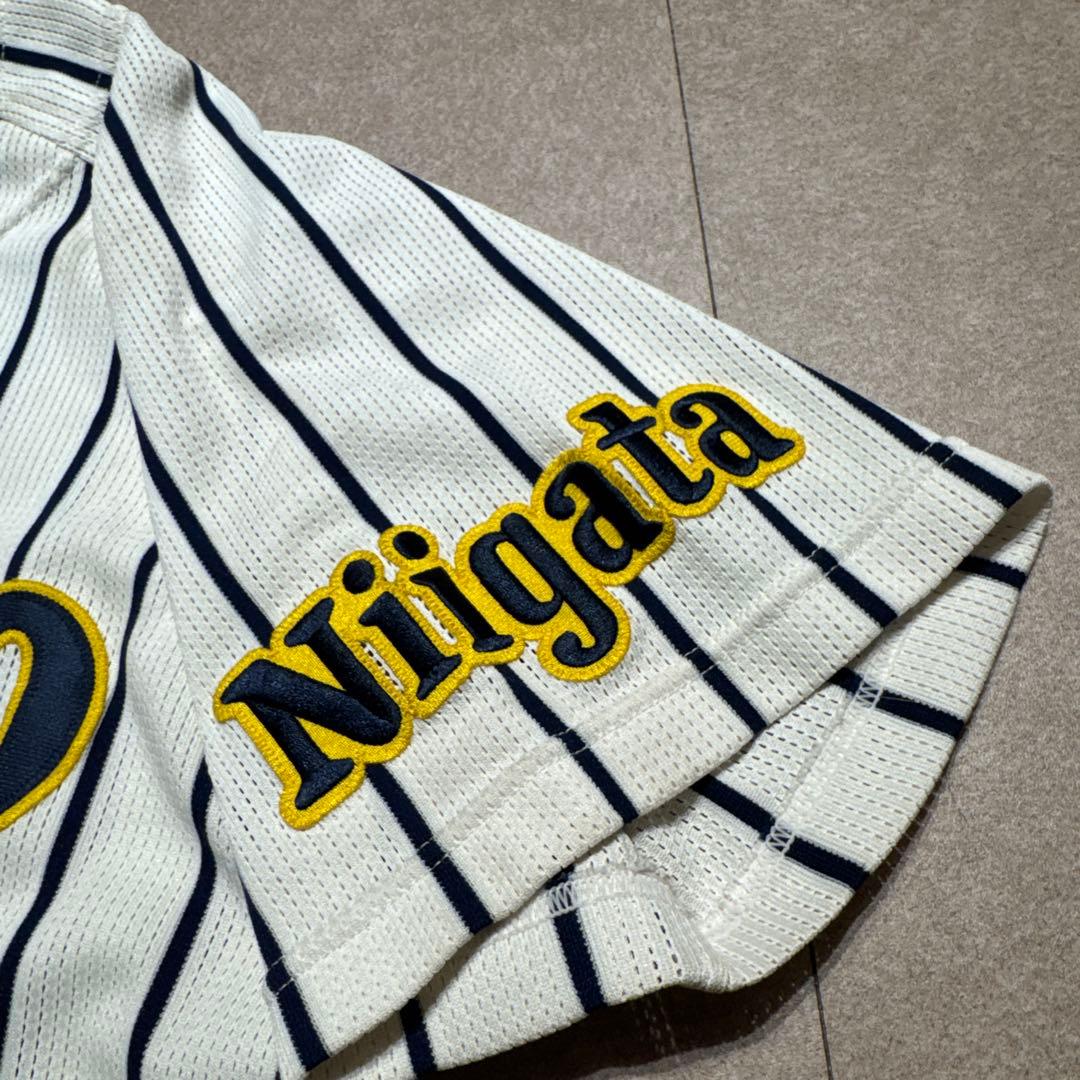 Mizuno 帝京長岡高校　ユニフォーム　ベースボールシャツ　野球　高校野球