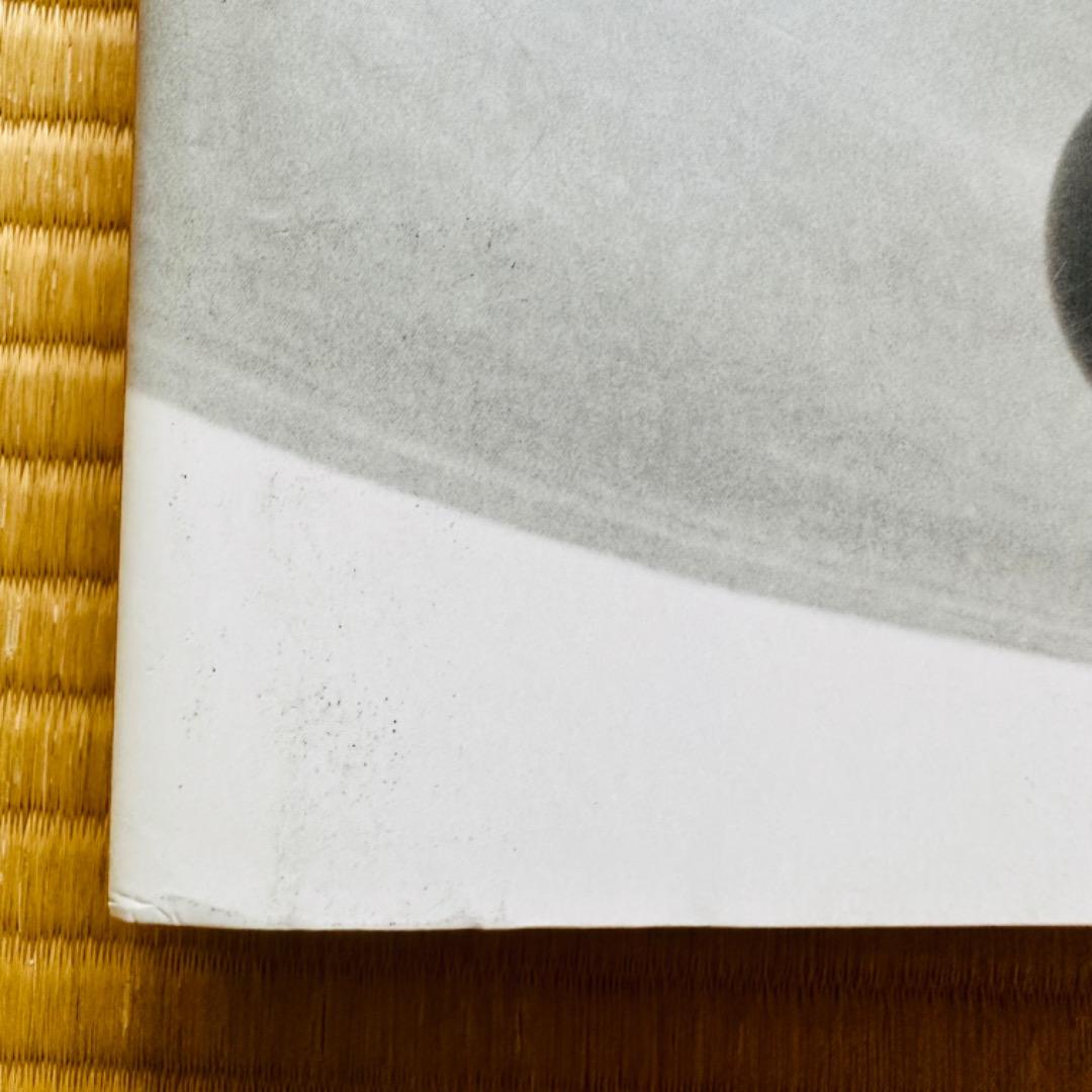 Mapplethorpe / The Complete Flowers 写真集