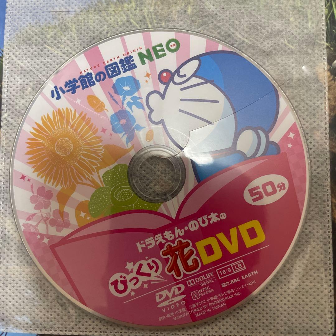 本日限定価格　プレneo 小学館の図鑑neo 20冊　セット