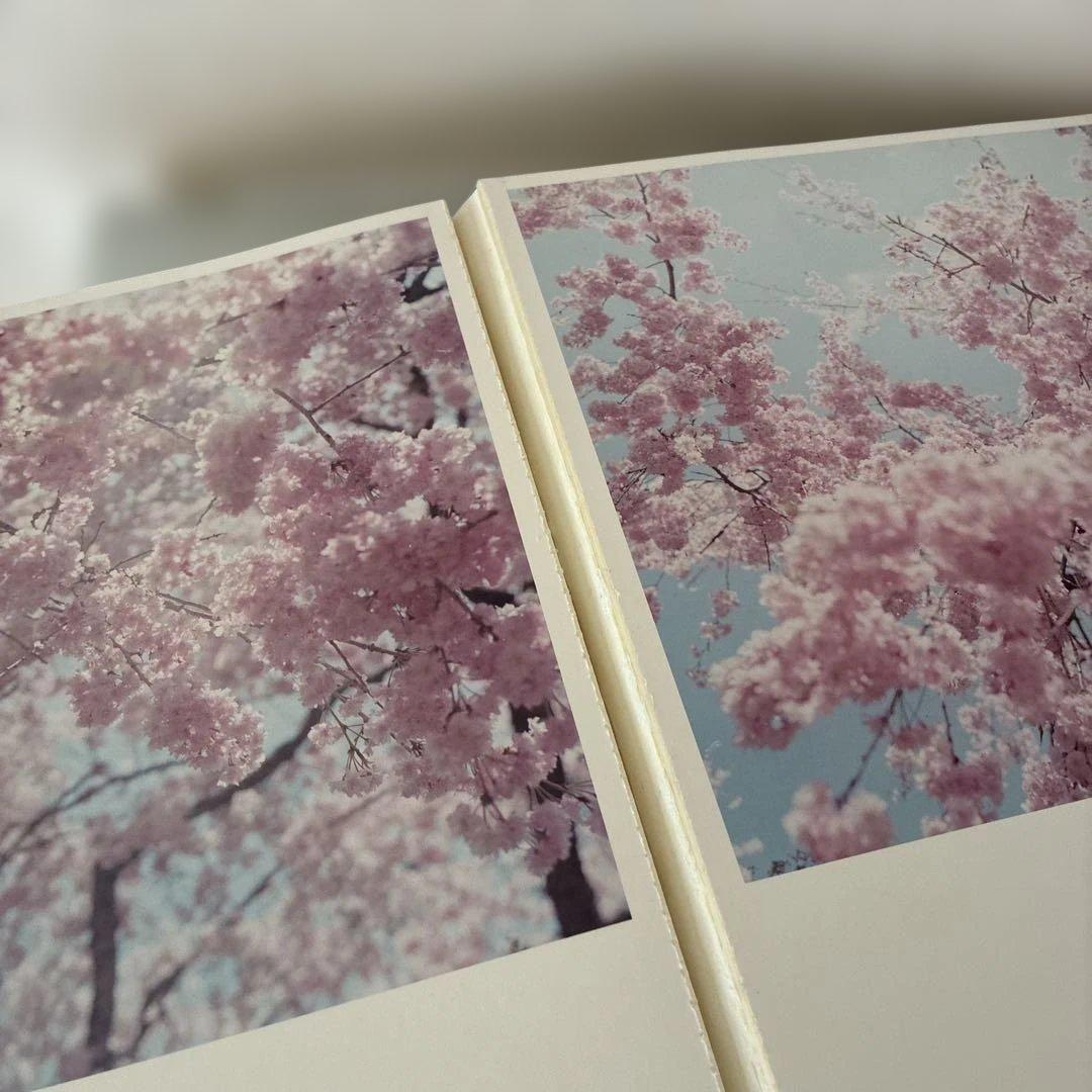 川内倫子 ILLUMINANCE