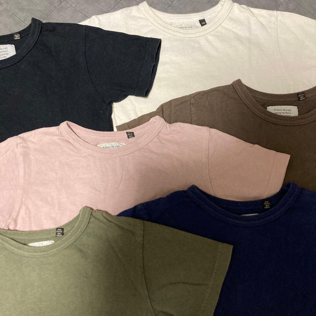 だだんだんです！M 100サイズ　（キューズベリー以外）