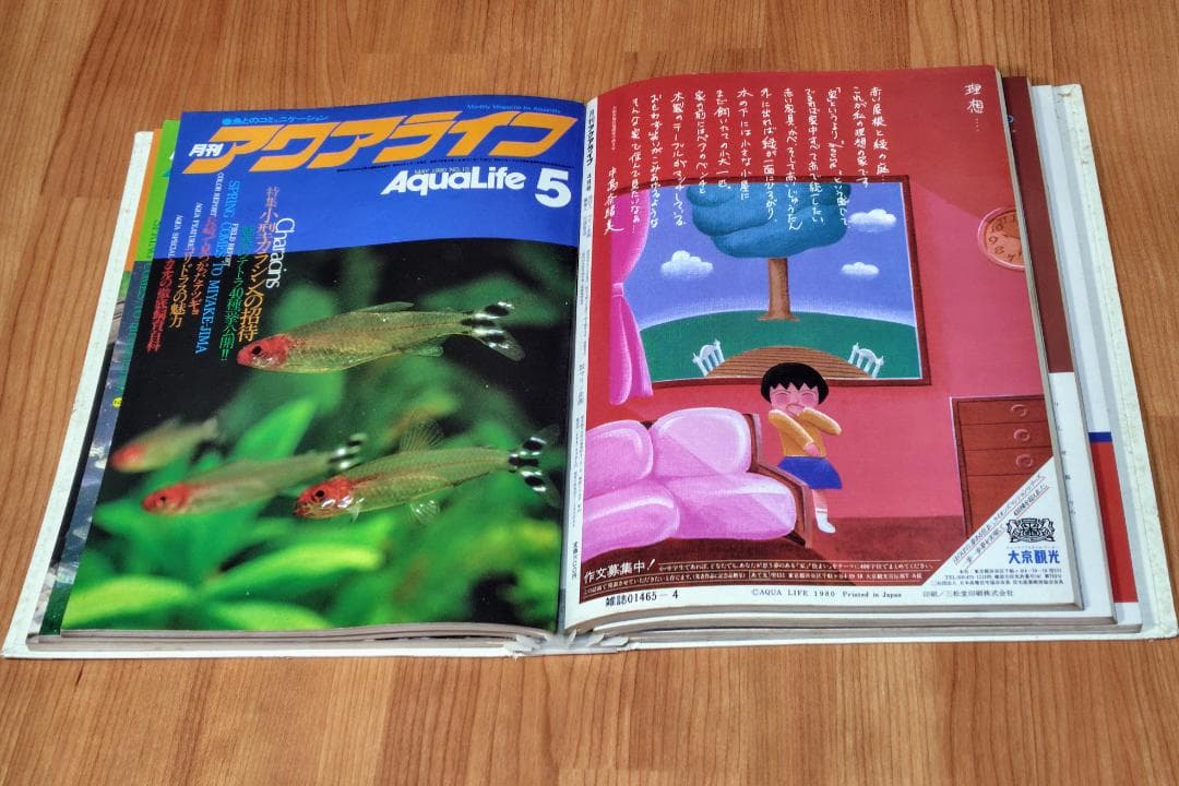 イ*3様 月刊アクアライフ 1980年 2月号～7月 合計6冊 昭和55年