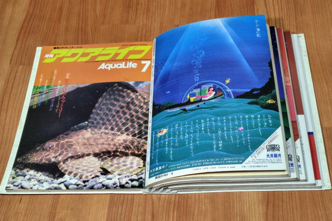 イ*3様 月刊アクアライフ 1980年 2月号～7月 合計6冊 昭和55年