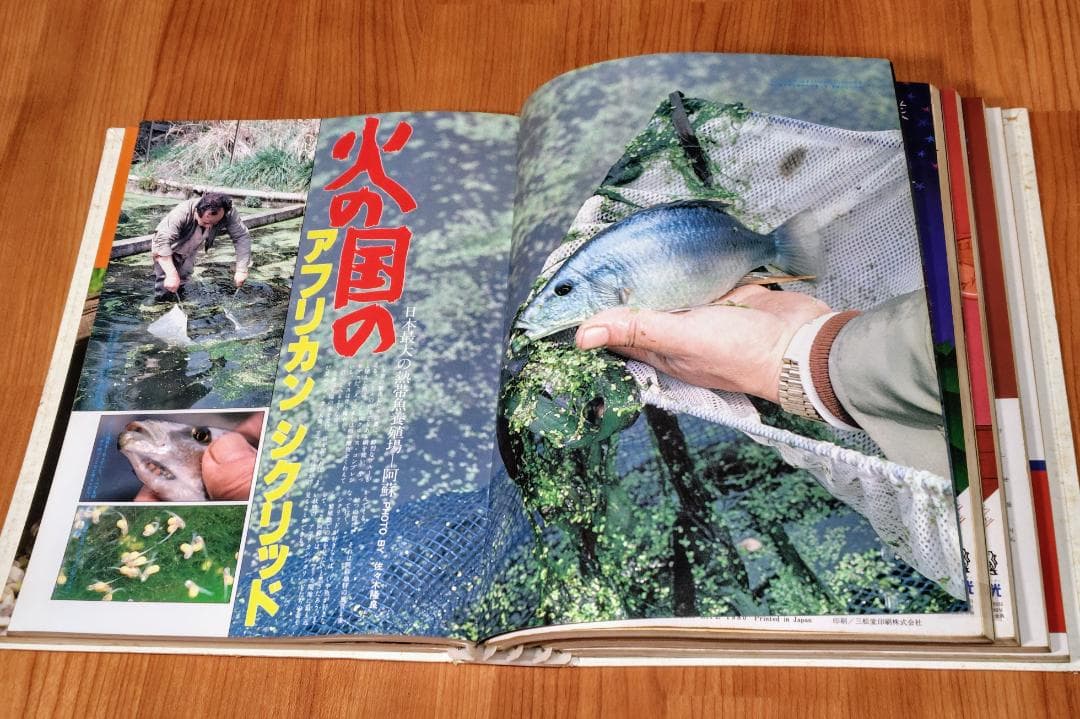イ*3様 月刊アクアライフ 1980年 2月号～7月 合計6冊 昭和55年