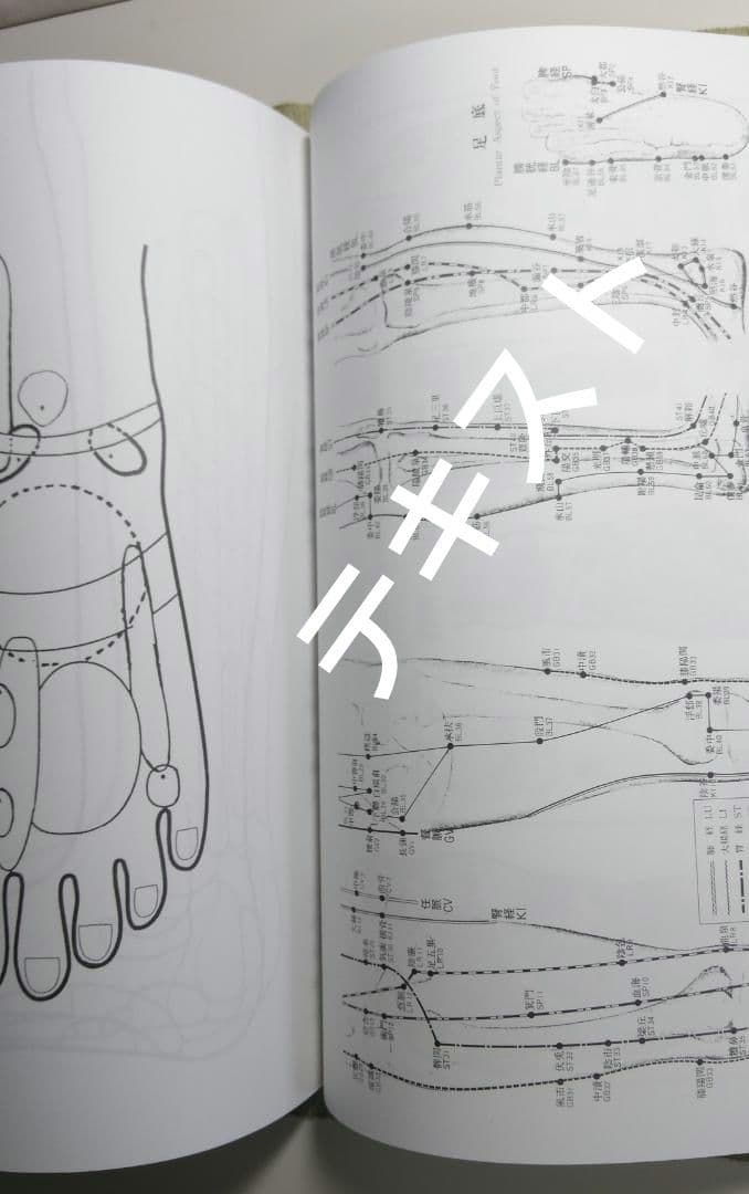 A7:足つぼ（DVD）学ぶ・足部反射療法教材 2級上編プロのset