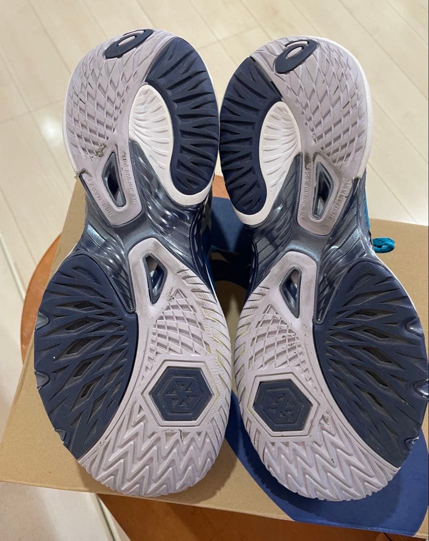 シューズ ASICS RISE  BLUE 27.5cm