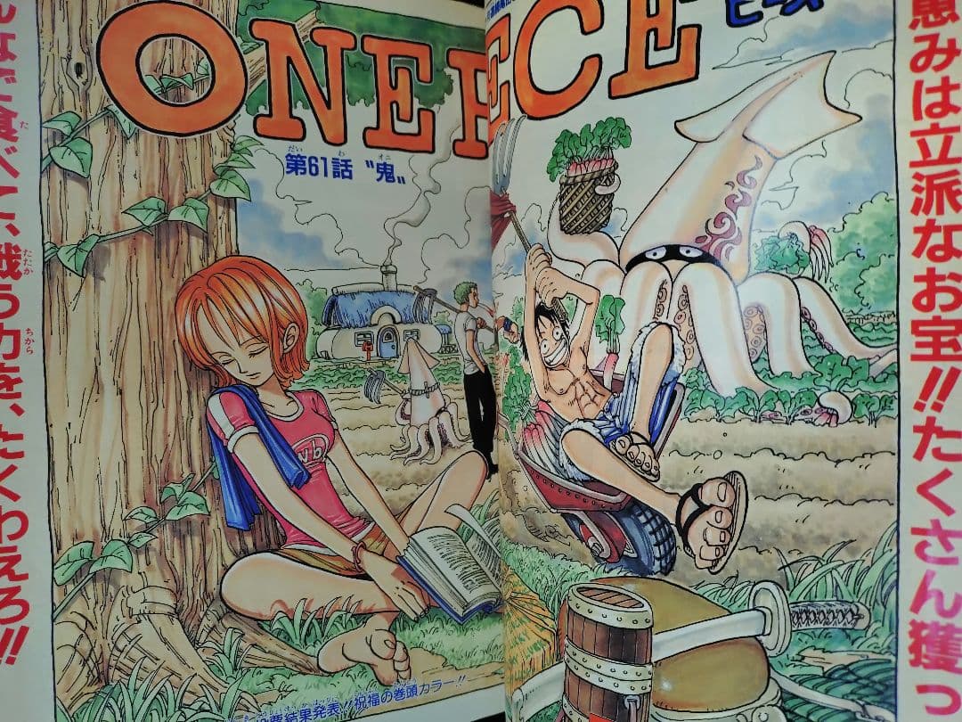 【週刊少年ジャンプ1998年47号】ワンピース　第1回キャラクター人気投票結果b