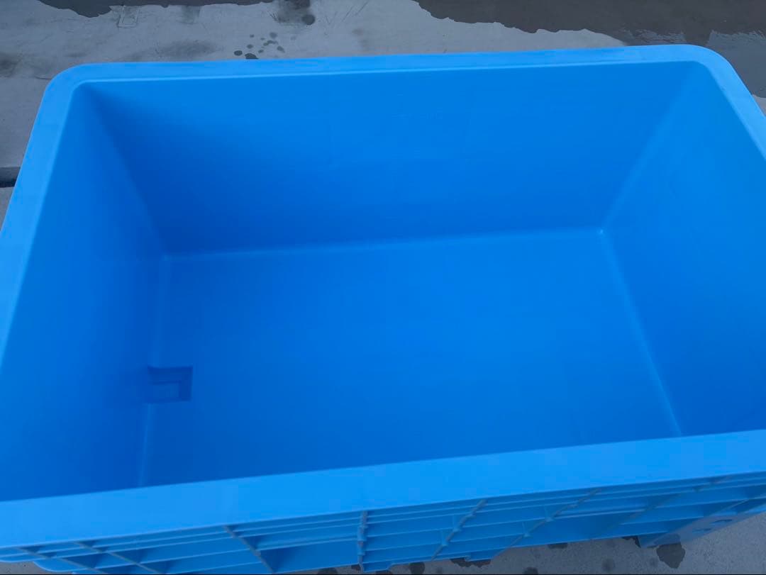 大型プラスチック水槽 ライトブルー　排水溝付き　メダカ　鯉　スーパー500