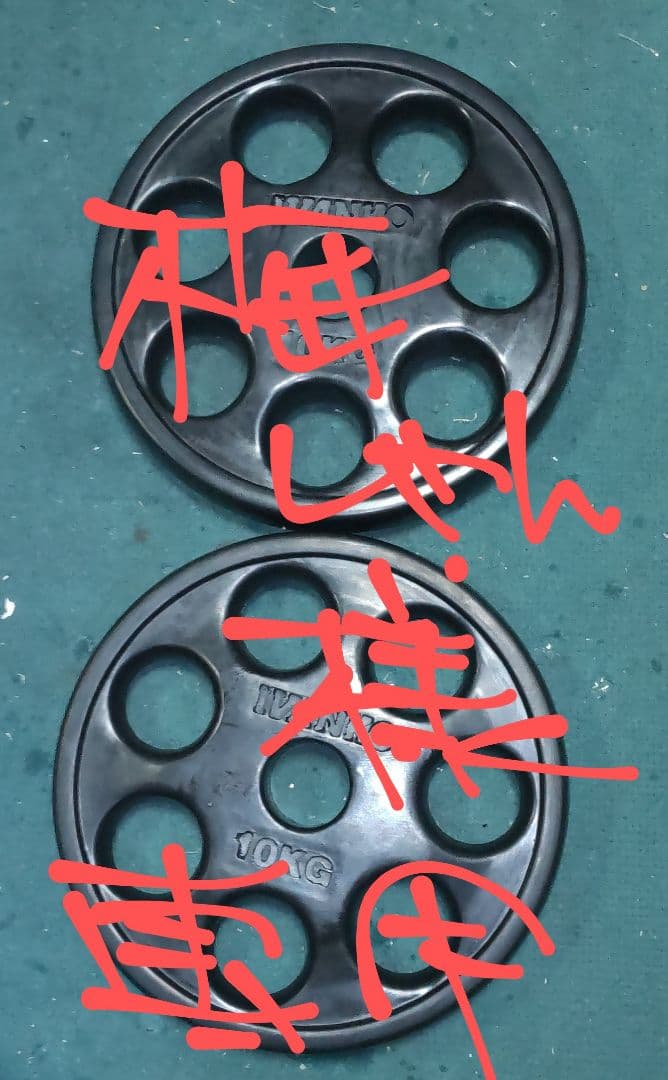 美品 IVANKO ROEZH 10kgプレート2枚