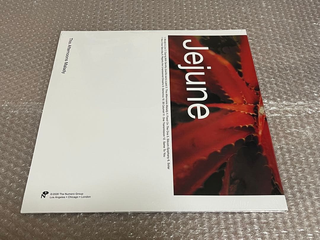 新品 Jejune / Junk This Afternoons malady