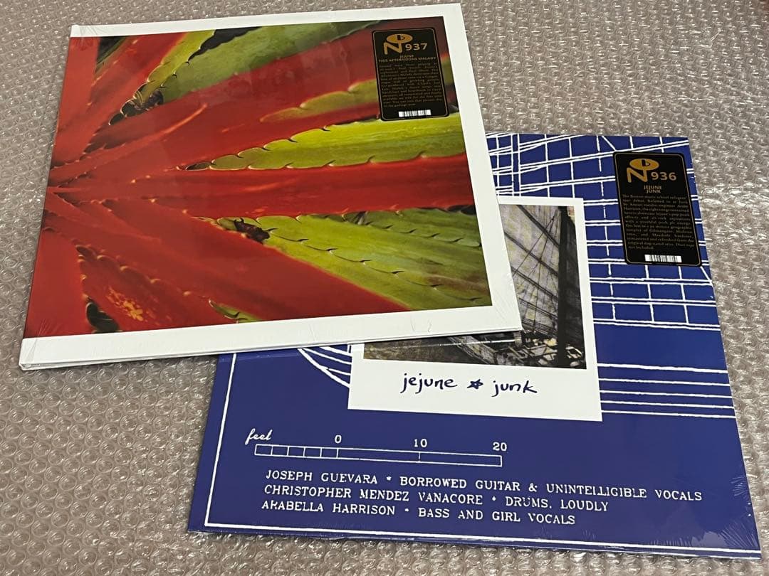 新品 Jejune / Junk This Afternoons malady