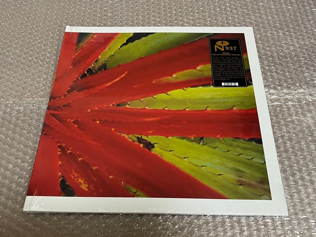 新品 Jejune / Junk This Afternoons malady