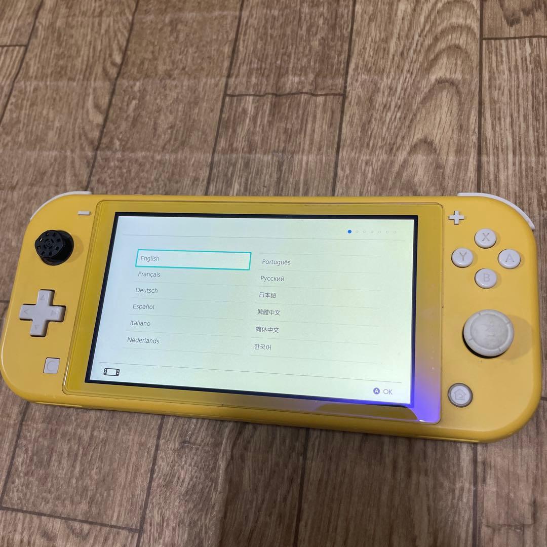 Switch Light 本体　ジャンク品