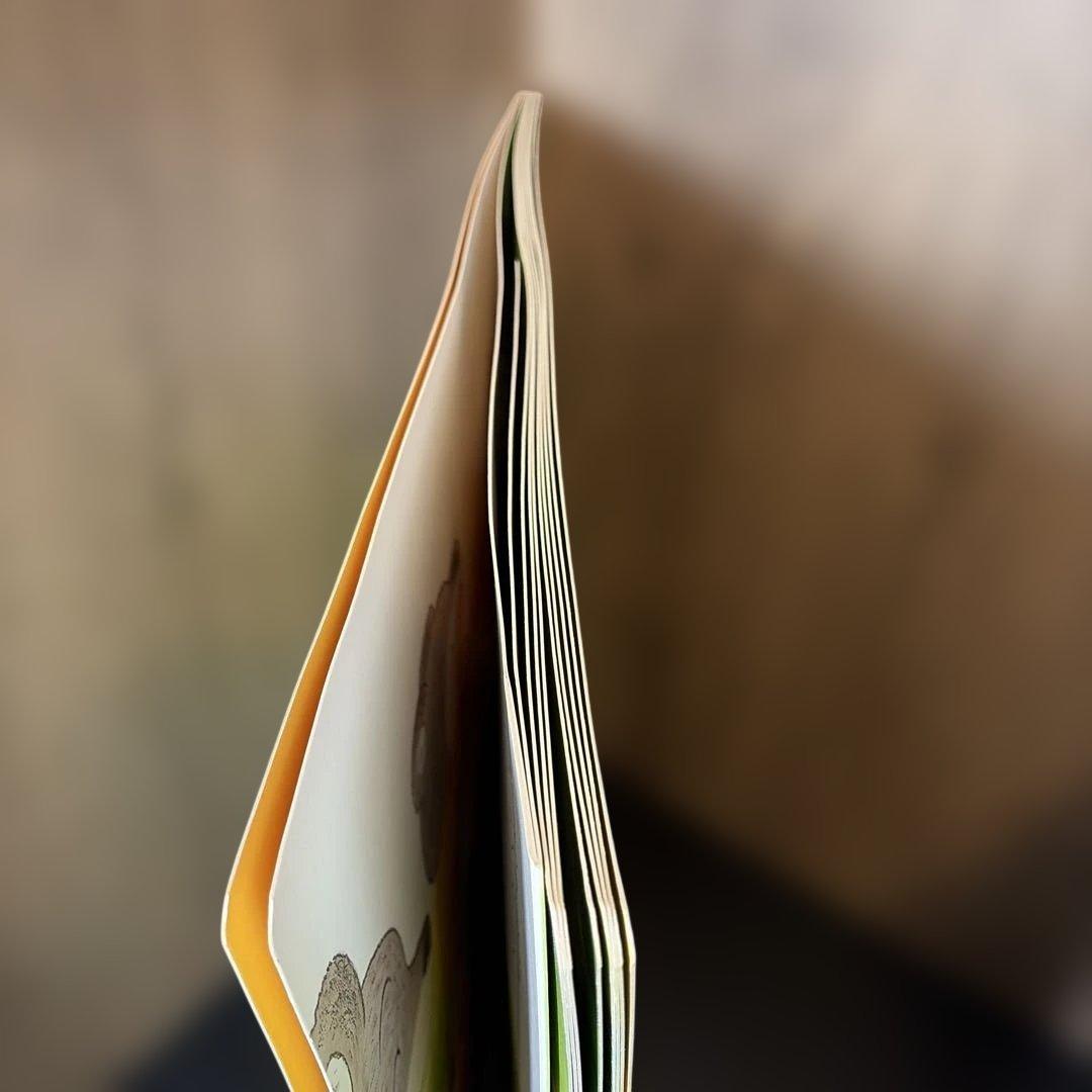 【サイズ注意】おかしなかくれんぼ 大きな大きな絵本23