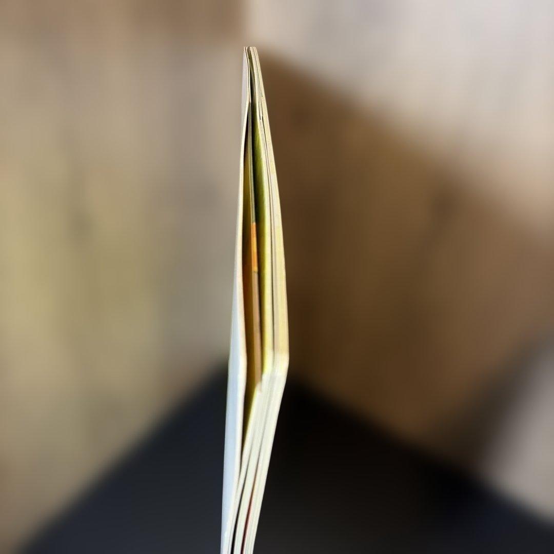 【サイズ注意】おかしなかくれんぼ 大きな大きな絵本23