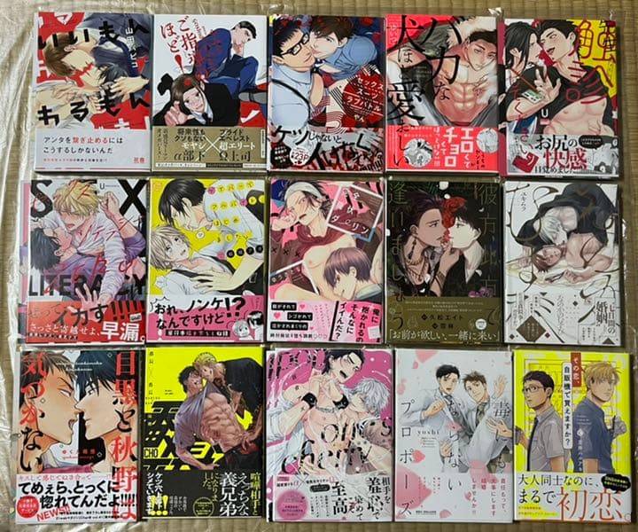 15 BL本まとめ売り　ボーイズラブコミックス　BOYS LOVE COMICS