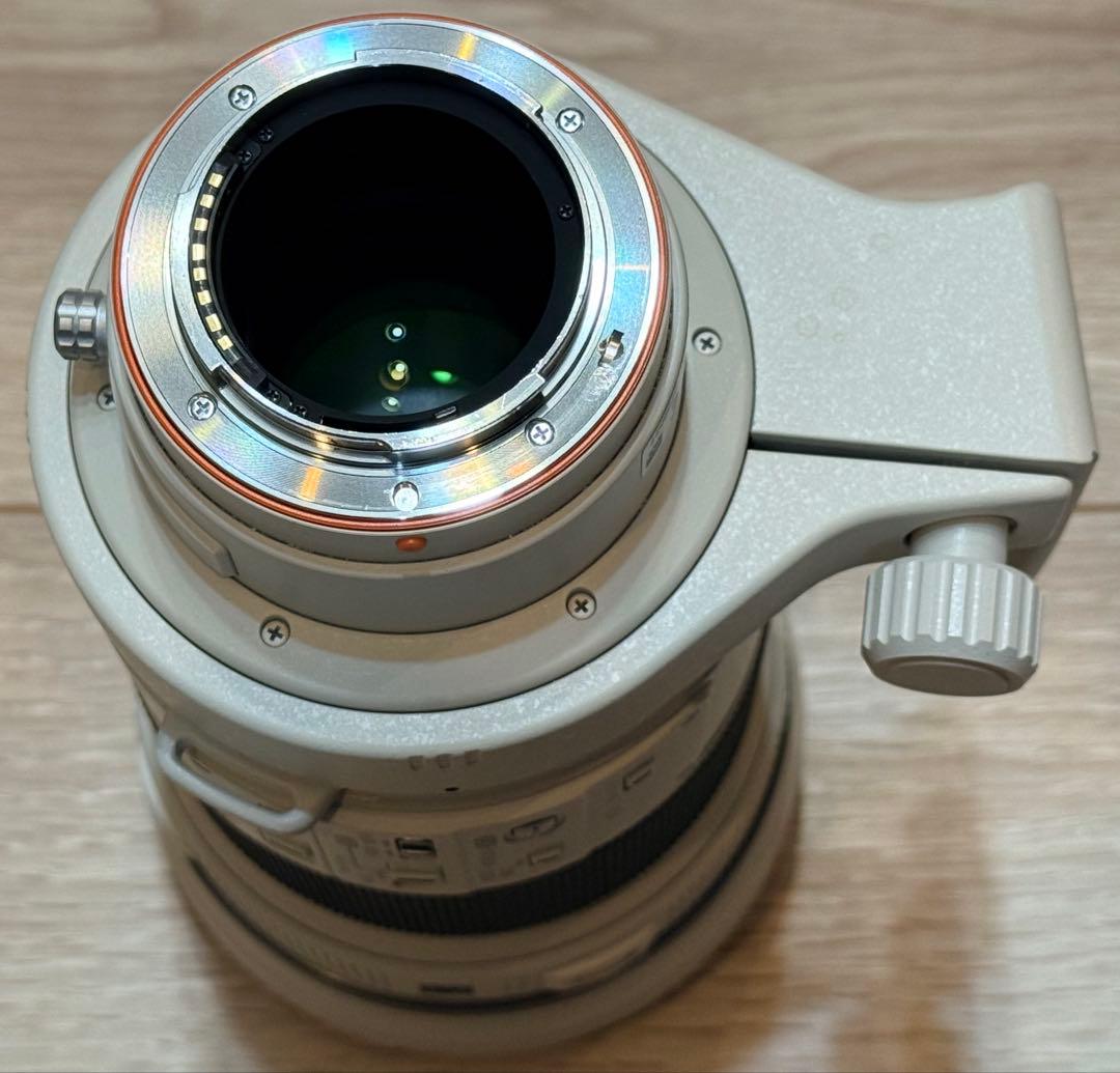 SONY ソニー 300mm F2.8 G SSM II 単焦点望遠レンズ