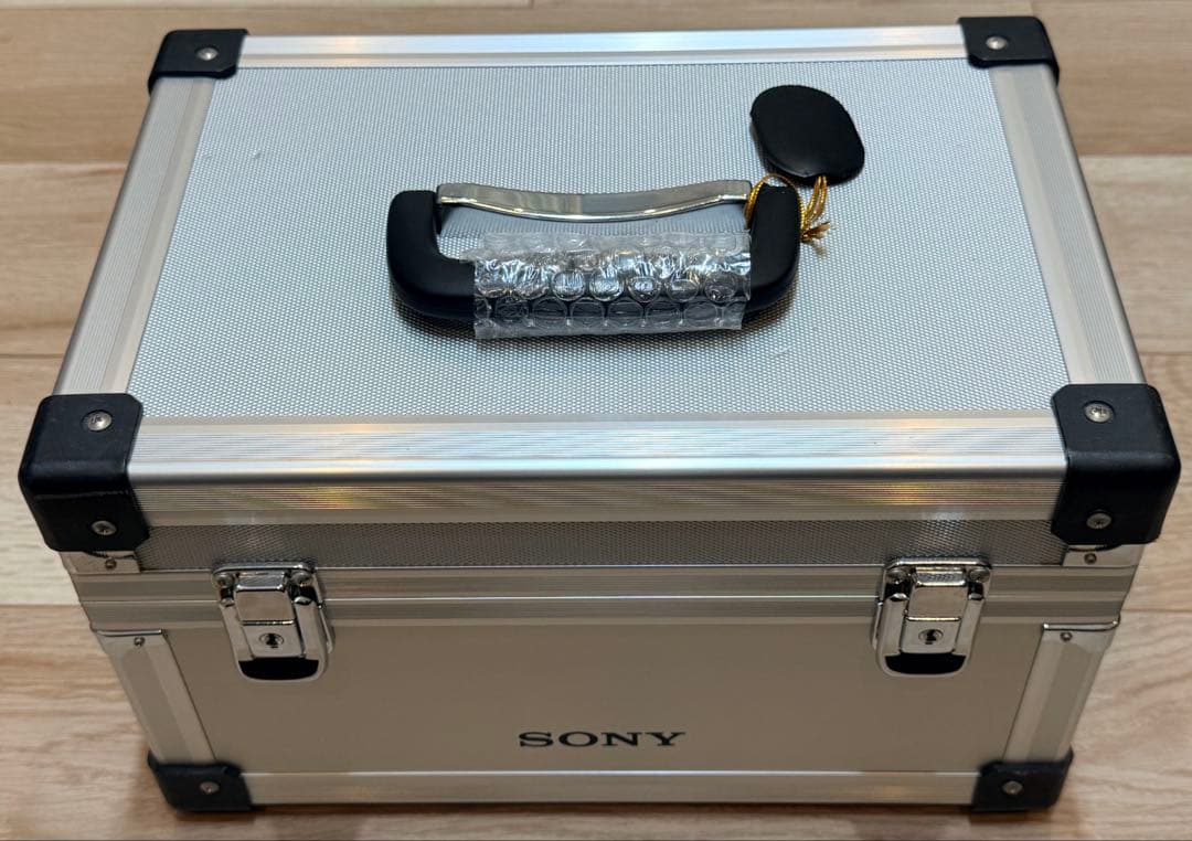 SONY ソニー 300mm F2.8 G SSM II 単焦点望遠レンズ