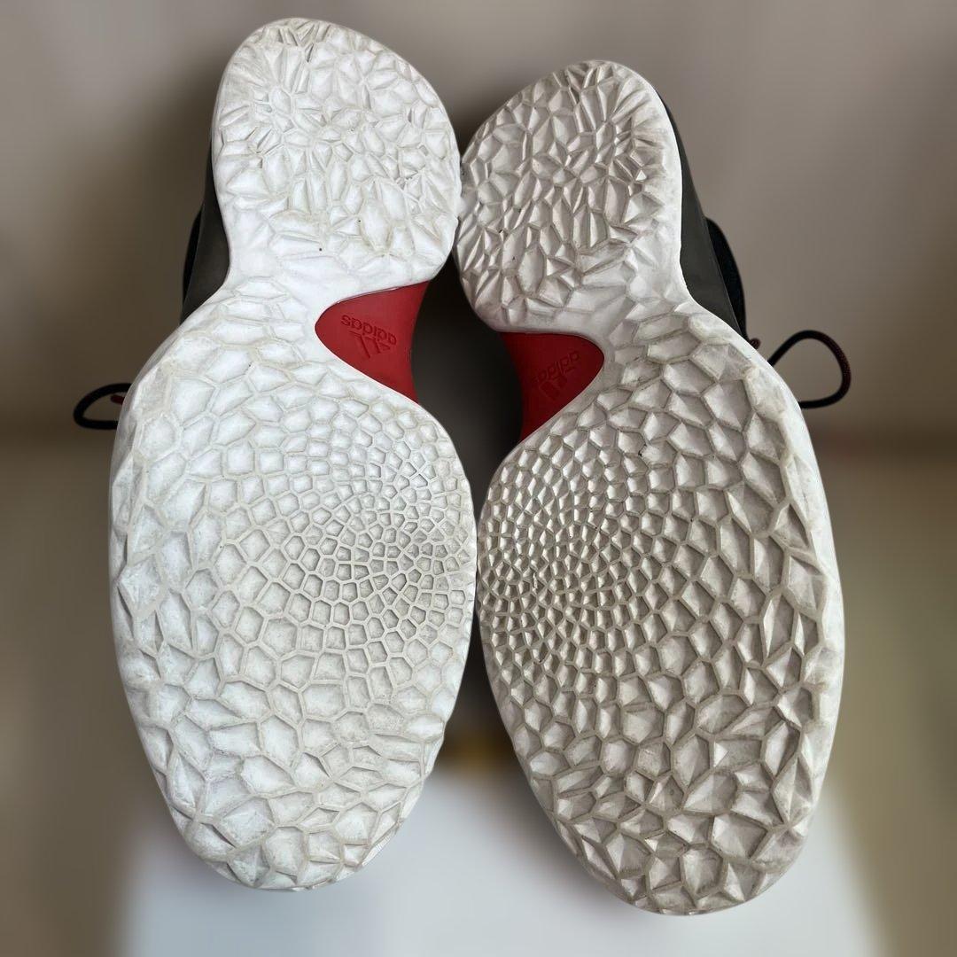 シューズ(男性用) HARDEN VOL. 1 Crazy X - ROAD 27cm