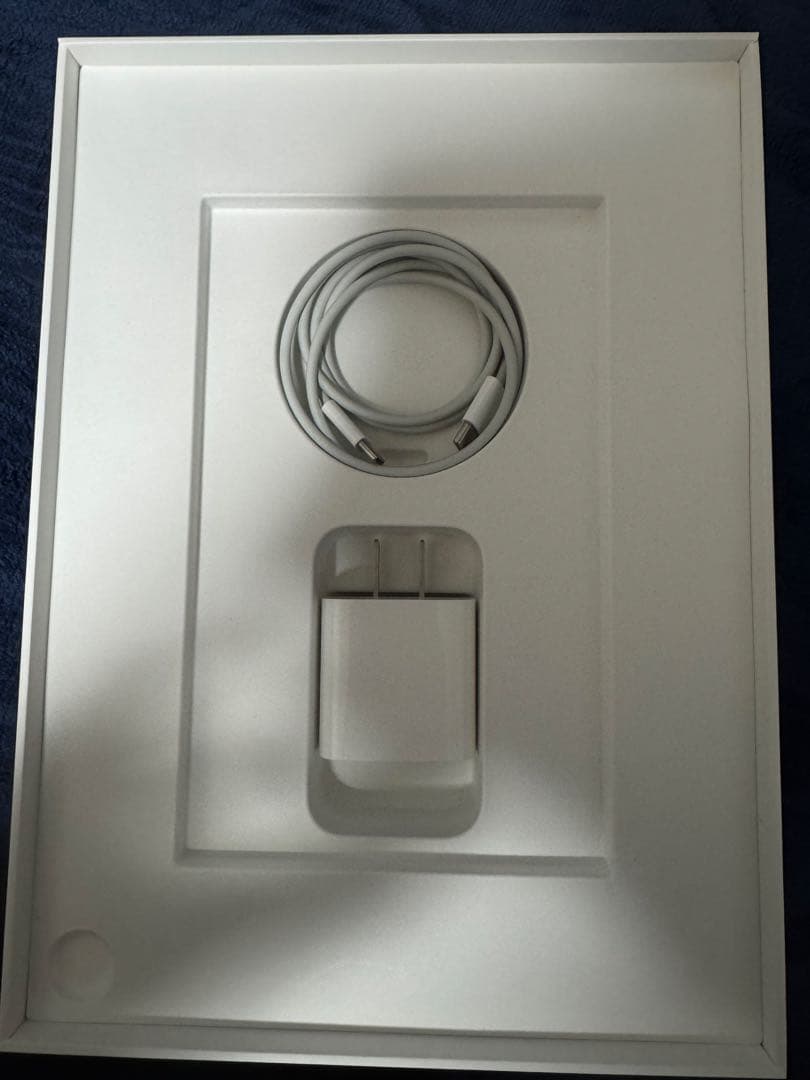 iPad Air (第4世代) 64GB スカイブルー本体（充電器ケーブル付き）