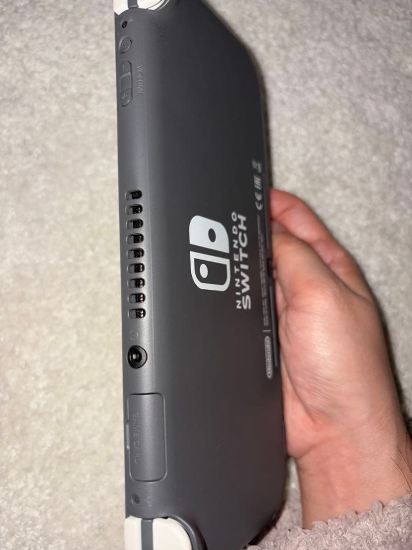 Nintendo Switch Nintendo Switch Lite GLAY