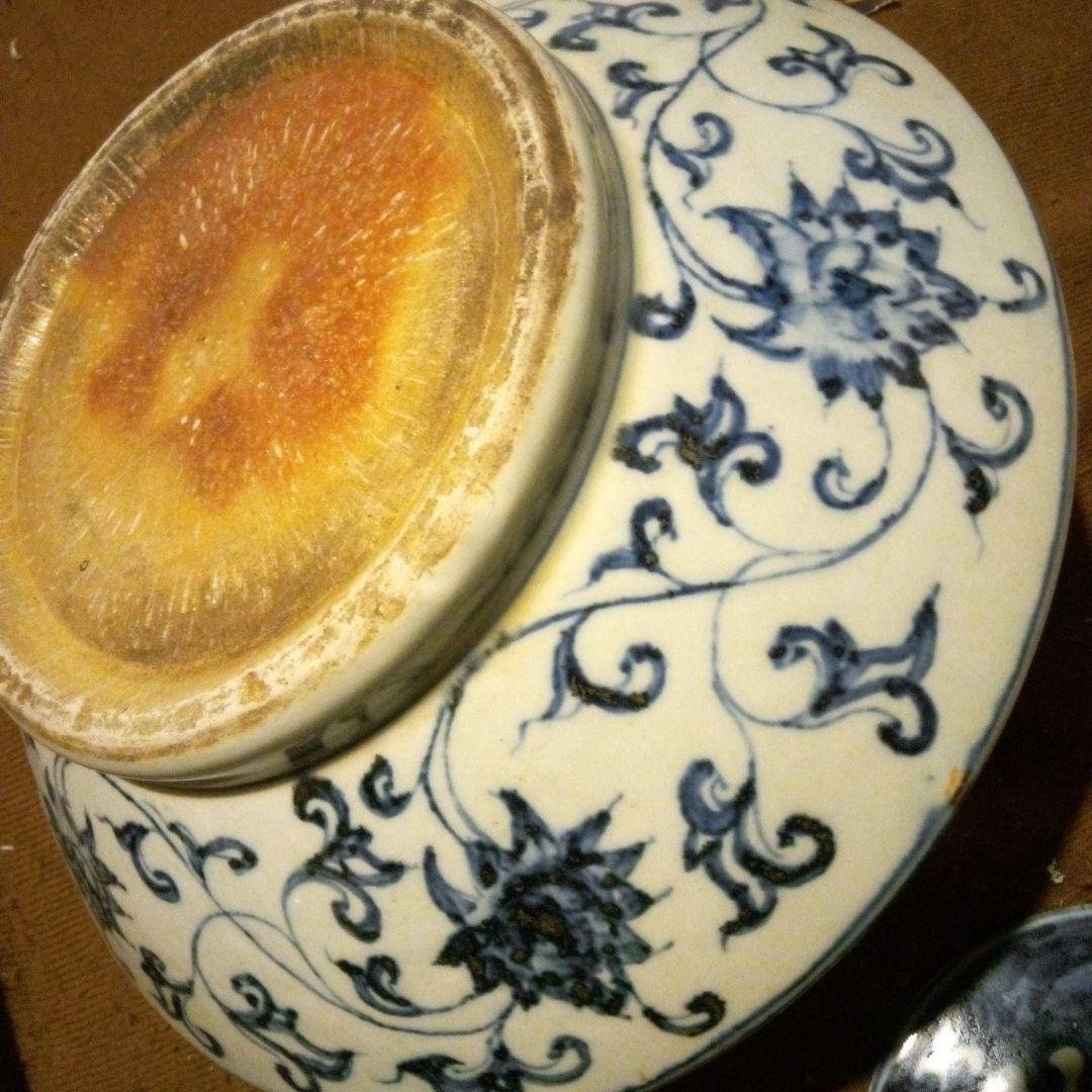 Salvia Shop　元染　蓋付き壺