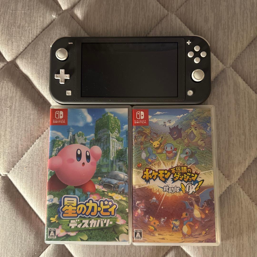 美品Nintendo Switch Lite グレー + ケース+カセット