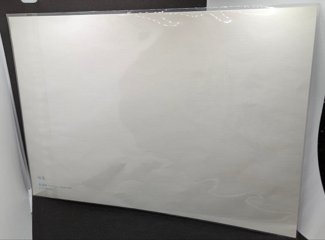 長渕剛　桜島　詩画　 A3サイズ　大人気