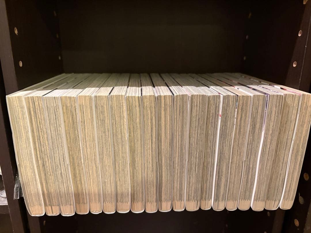 文豪ストレイドッグス 1〜27巻既刊全巻+関連本4冊セット