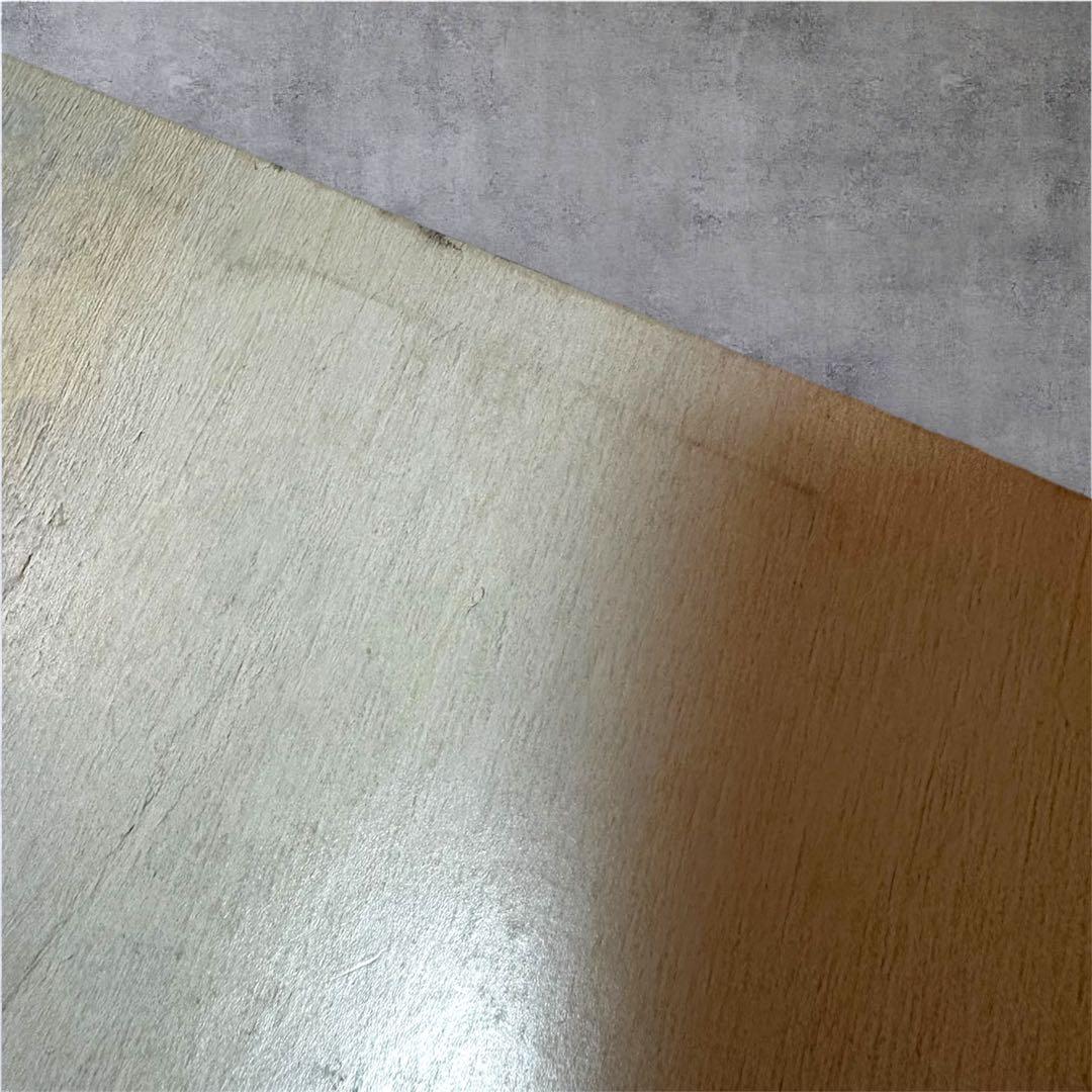 THE BLUE HEARTS ブルーハーツ1989ツアーブックLPサイズ当時物