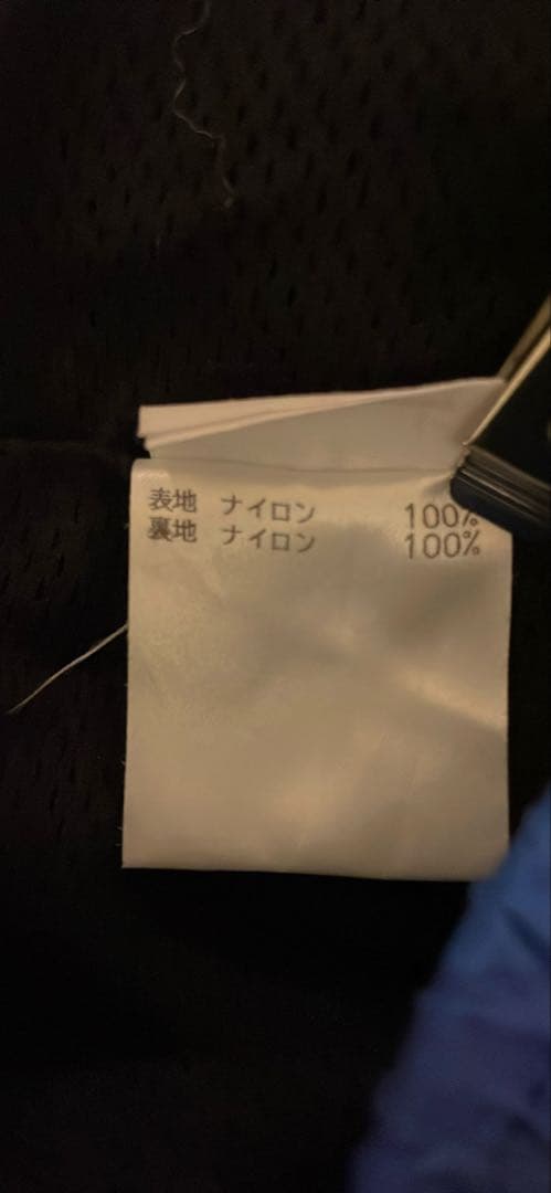 ドリスバンノッテン青 Dries Van Notenグラデーションショートパンツ